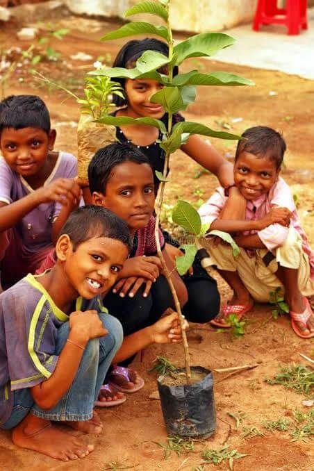 Ecological Wellbeing